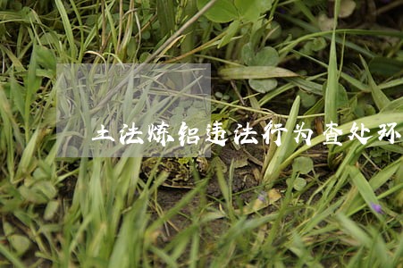 土法炼铝违法行为查处环保依据 土法炼铝违法行为查处环保依据