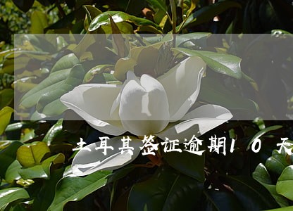 土耳其签证逾期10天