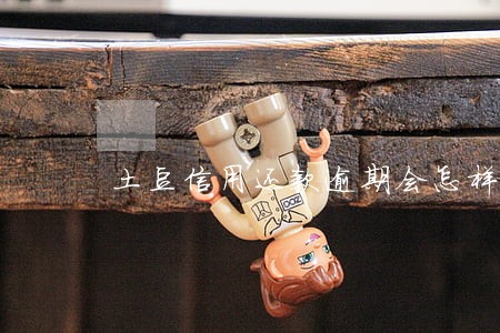 土豆信用还款逾期会怎样 土豆信用还款逾期会怎样