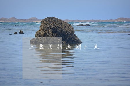 土豆用钱逾期5天 土豆用钱逾期5天