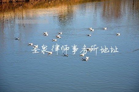 圣泉律师事务所地址