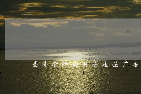圣济堂降压片等违法广告案 圣济堂降压片等违法广告案