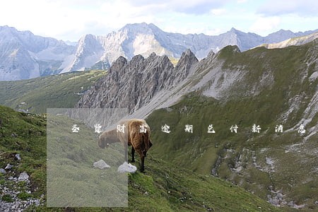 圣贤财富逾期兑付新消息 圣贤财富逾期兑付新消息