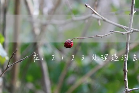 在12123处理违法去哪缴费 在12123处理违法去哪缴费