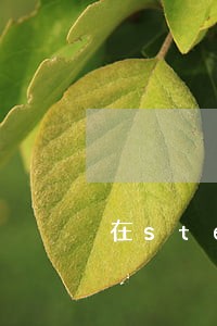 在steam买r18游戏违法吗 在steam买r18游戏违法吗