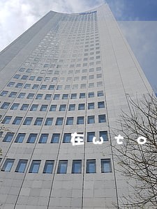 在wto的法律框架中