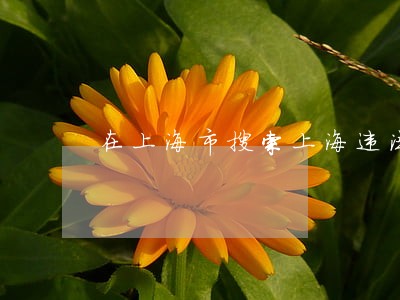 在上海市搜索上海违法举报平台