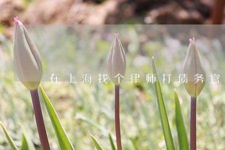 在上海找个律师打债务官司多少钱