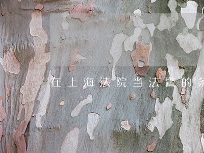 在上海法院当法警的条件