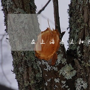 在上海违法扣除12分 在上海违法扣除12分