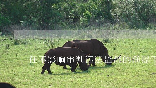 在不影响审判违法监督的前提下 在不影响审判违法监督的前提下