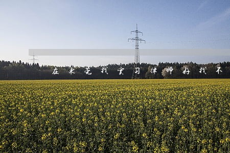 在东莞找实习律师好找不