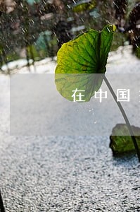在中国交易虚拟币违法吗