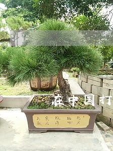 在中国打小孩违法吗