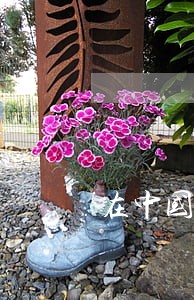 在中国执法的人却不遵守法律