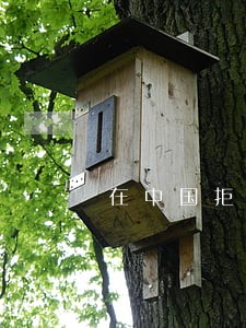 在中国拒收现金违法吗