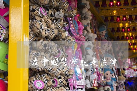 在中国警察就是法律 在中国警察就是法律