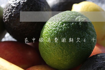 在中银消费逾期欠6千 在中银消费逾期欠6千