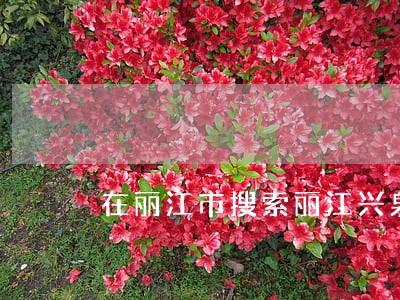 在丽江市搜索丽江兴泉镇局 在丽江市搜索丽江兴泉镇局