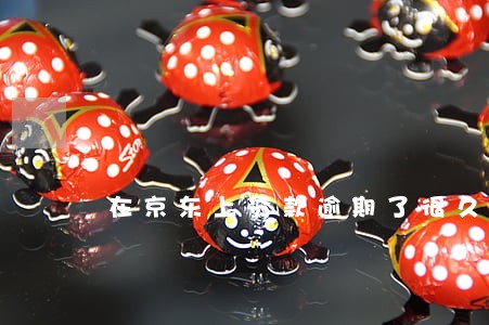 在京东上贷款逾期了很久 在京东上贷款逾期了很久