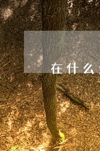 在什么地方查询信用逾期 在什么地方查询信用逾期