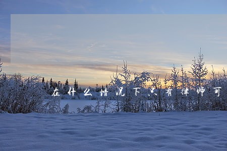 在什么情况下只有律师可以见到人 在什么情况下只有律师可以见到人