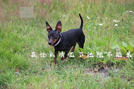 在什么情况下法院不能采纳 在什么情况下法院不能采纳
