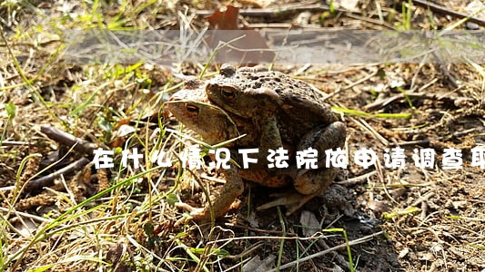 在什么情况下法院依申请调查取证 在什么情况下法院依申请调查取证