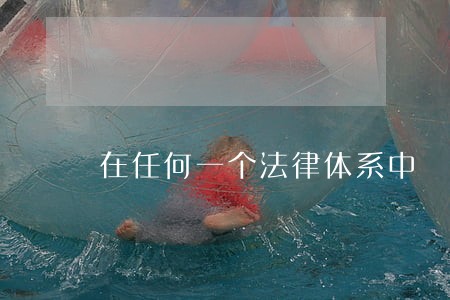 在任何一个法律体系中 在任何一个法律体系中