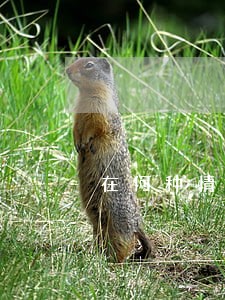 在何种情况下适用民法基本原则 在何种情况下适用民法基本原则