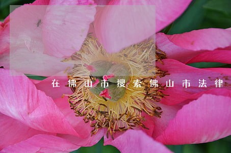 在佛山市搜索佛山市法律服务 在佛山市搜索佛山市法律服务