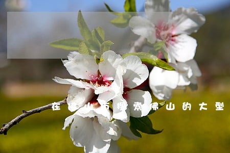 在佛山市搜索佛山的大型律师所 在佛山市搜索佛山的大型律师所