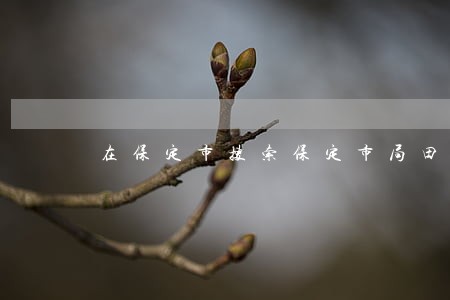在保定市搜索保定市局田国华