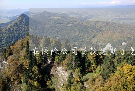 在保险公司贷款逾期了怎么办 在保险公司贷款逾期了怎么办