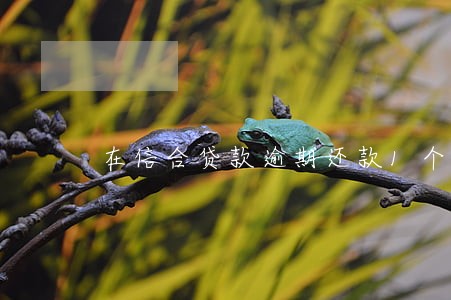 在信合贷款逾期还款1个月