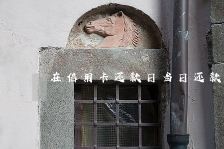 在信用卡还款日当日还款逾期吗 在信用卡还款日当日还款逾期吗