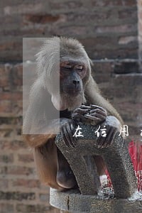 在信用社贷款逾期
