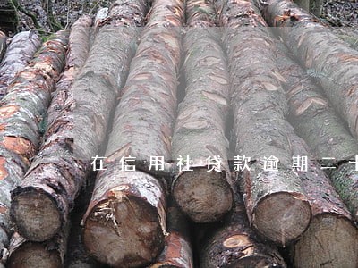 在信用社贷款逾期二十年了没还 在信用社贷款逾期二十年了没还