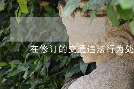 在修订的交通违法行为处理程序中