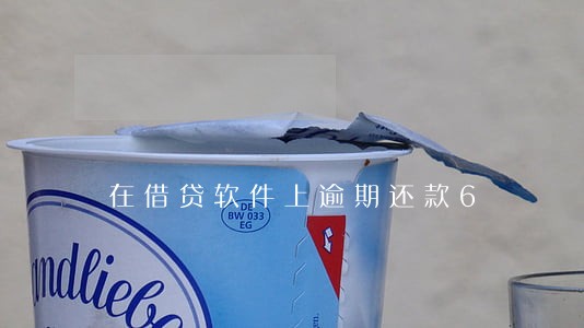 在借贷软件上逾期还款6