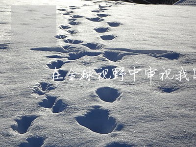 在全球视野中审视我国刑法 在全球视野中审视我国刑法