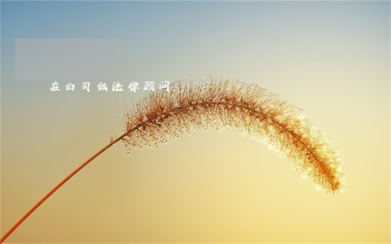 在公司做法律顾问 在公司做法律顾问