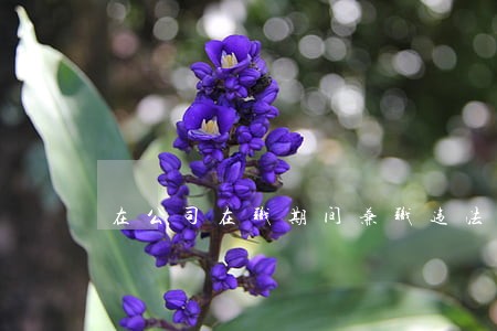 在公司在职期间兼职违法吗 在公司在职期间兼职违法吗