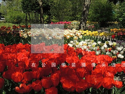 在公园偷装摄像头违法吗 在公园偷装摄像头违法吗