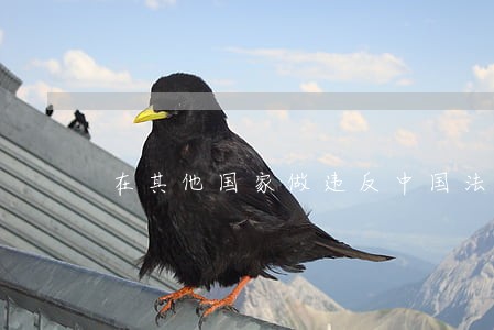 在其他国家做违反中国法律的事情 在其他国家做违反中国法律的事情