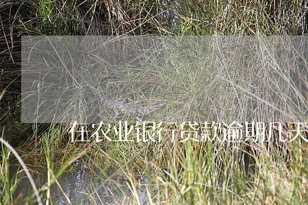 在农业银行贷款逾期几天