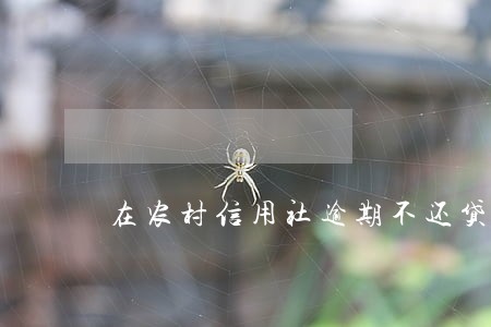 在农村信用社逾期不还贷款 在农村信用社逾期不还贷款