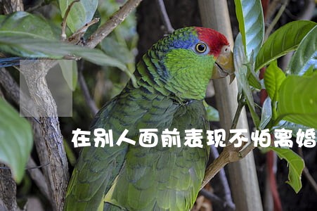 在别人面前表现不怕离婚 在别人面前表现不怕离婚