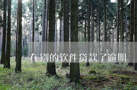在别的软件贷款了逾期 在别的软件贷款了逾期