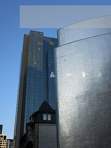 在加拿大找律师要多少钱 在加拿大找律师要多少钱